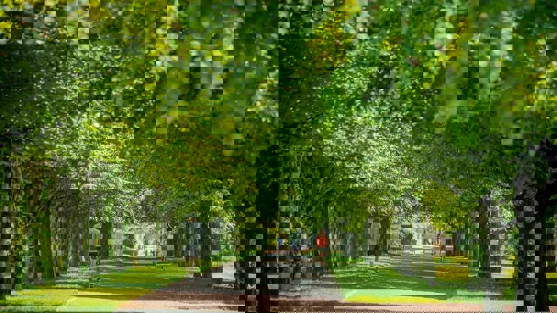 A tree-lined path in Glasgow Green on a sunny day, with dappled sunlight filtering through the dense green canopy, and people walking and running.