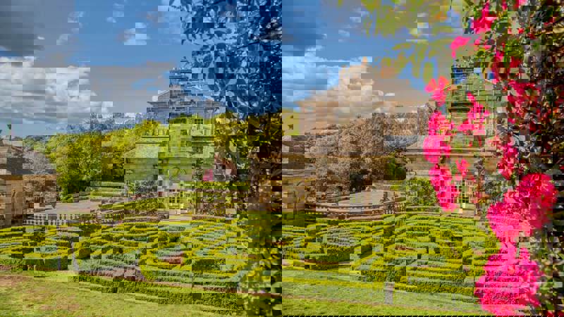 A stately home is surrounded by a large hedge maze and lush green lawns, with pink flowers in the foreground.