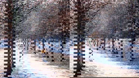 A cyclist in a yellow jacket rides along a snow-covered path lined with bare trees in Kelvingrove Park.