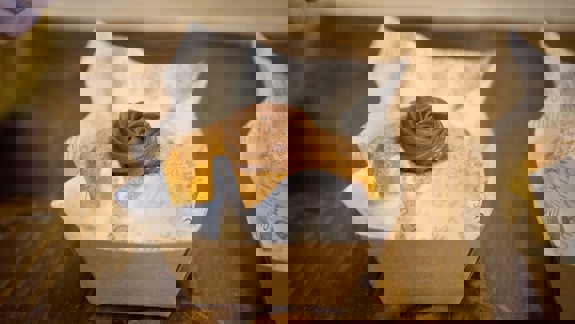 A small donut topped with a swirl of chocolate frosting sits in a paper box.