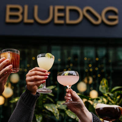 Outstretched hands outside a bar raise cocktails in a toast under a modern style, gold lettered sign that reads "BLUEDOG"