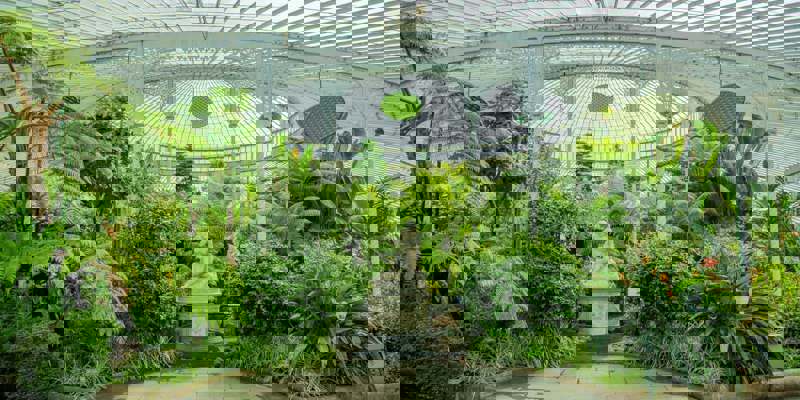 A lush indoor garden with tropical plants and a white statue under a glass dome.