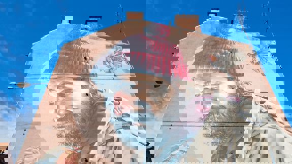 A mural on the side of a building shows a bearded man with a red beanie, looking down. Two robins are painted on either side of him.