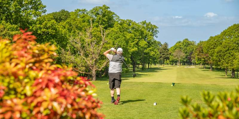 A golfer in a grey and black shirt hits a ball on a lush, green course surrounded by trees under a bright blue sky.
