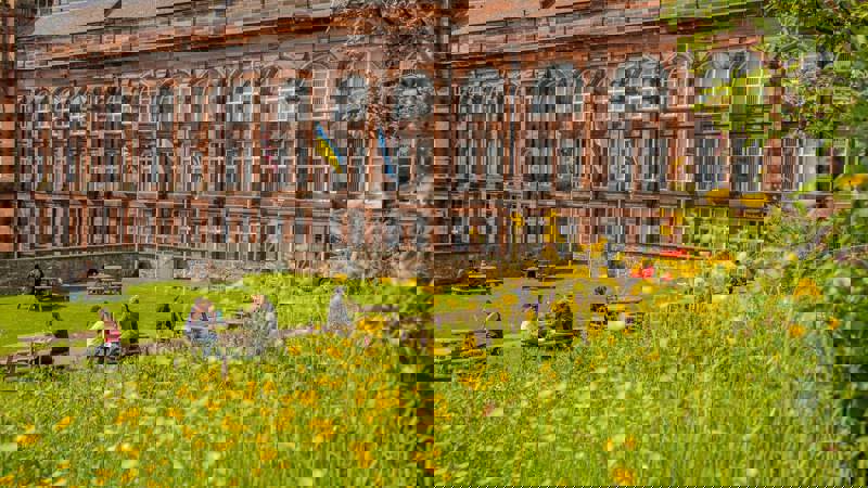 Students sit on picnic benches in a garden filled with yellow wildflowers, in front of a large red brick building.