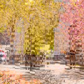 A path through the Glasgow Necropolis, a Victorian cemetery, with people walking amongst gravestones and lush cherry blossom trees.