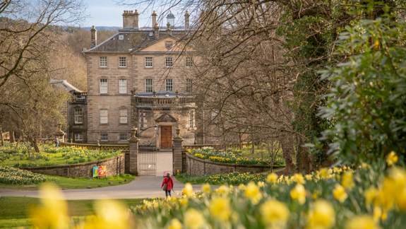 The front of Pollok House, a stately home, with a garden in the foreground featuring daffodils and a person walking a dog.