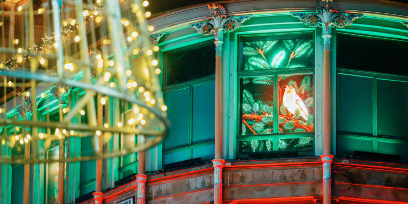 Building corner with a window displaying a glowing white bird on a branch, illuminated in vibrant green and red light, beside a gold light decoration.