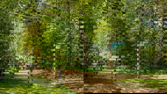 A shady path winds through the lush green trees of Pollok Country Park. Walkers enjoy the woodland setting, with a signpost pointing the way.