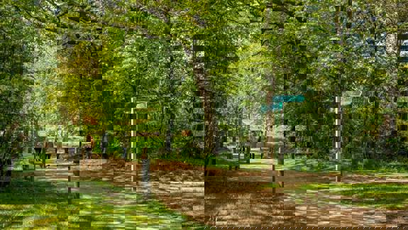 A peaceful park path lined with tall trees and dappled sunlight, with several people walking beneath a canopy of fresh green leaves.