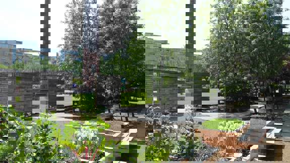 A vibrant urban garden with raised beds of leafy greens and white flowers in the foreground, and a large grassy area with trees and a tall brick chimney in the background.