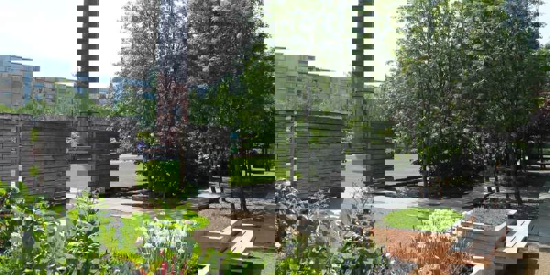 A vibrant urban garden with raised beds of leafy greens and white flowers in the foreground, and a large grassy area with trees and a tall brick chimney in the background.