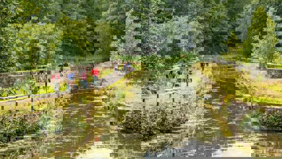 A group of cyclists and walkers on a path beside a calm, tree-lined canal on a sunny day.