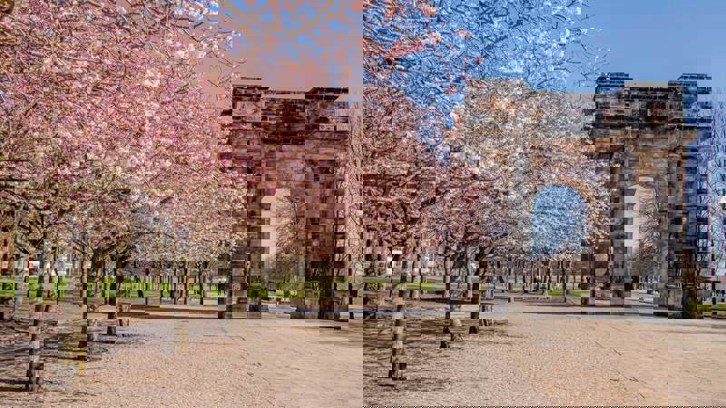 Pink cherry blossoms line a path leading to a large stone arch on a bright spring day.