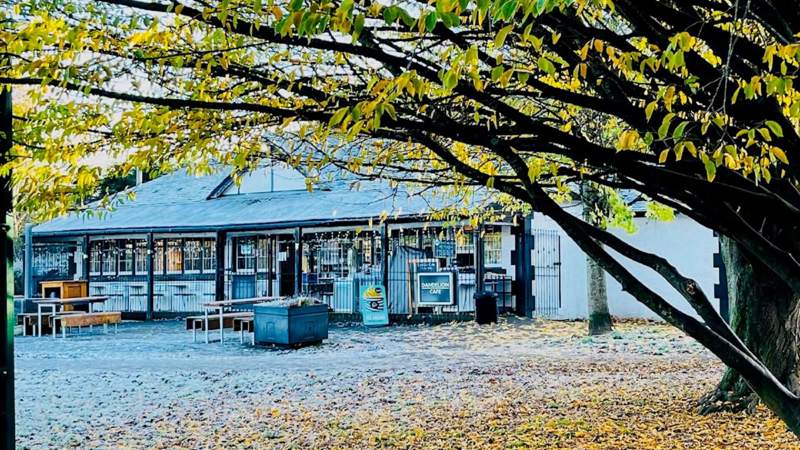 A café with outdoor seating under a large tree with yellow autumn leaves.