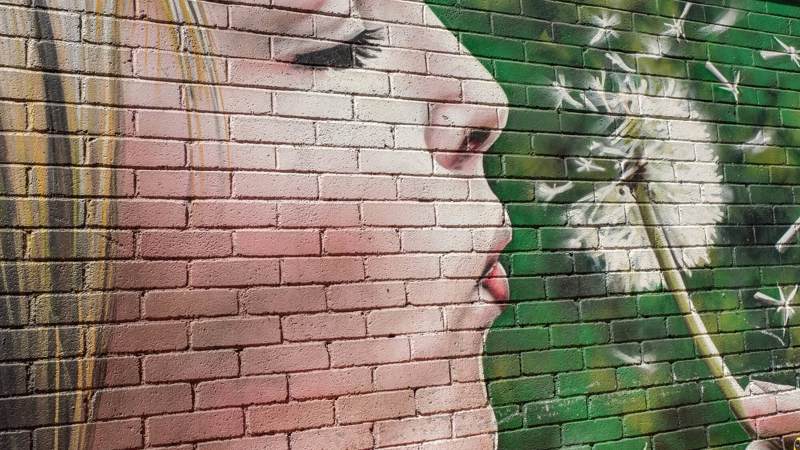 Mural on a brick wall showing a person's profile blowing dandelion seeds against a green background.