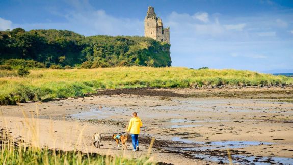 A person in a yellow jacket walks two dogs on a sandy beach below a grassy cliff with the ruins of Greenan Castle in the distance.