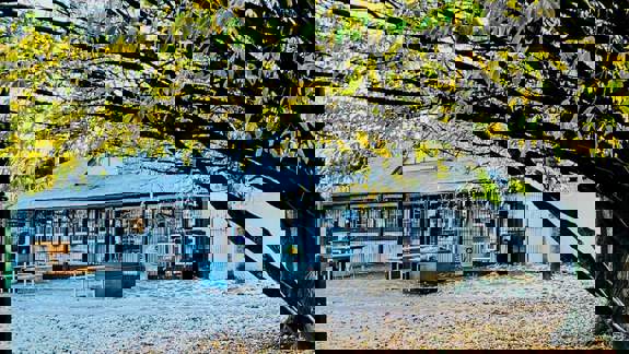 Dandelion Cafe building is partially visible behind a tree with yellowing leaves and branches in the foreground.