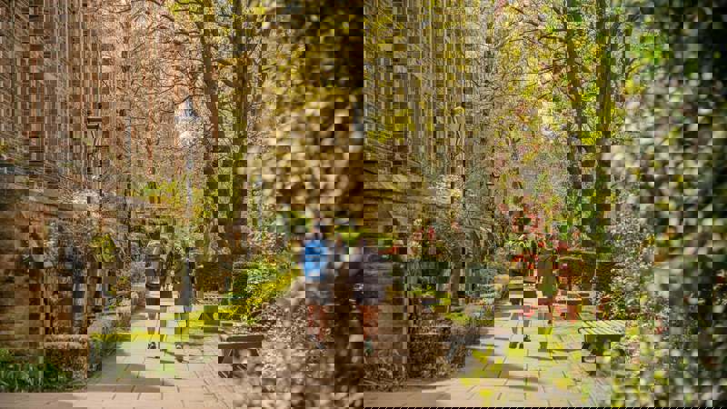 Two people walk along a tree-lined path next to an old stone building on a sunny day.