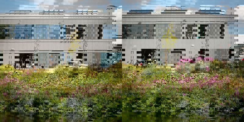 A two-story, modern building with a corrugated metal exterior sits next to a body of water, surrounded by tall grasses and purple flowers.