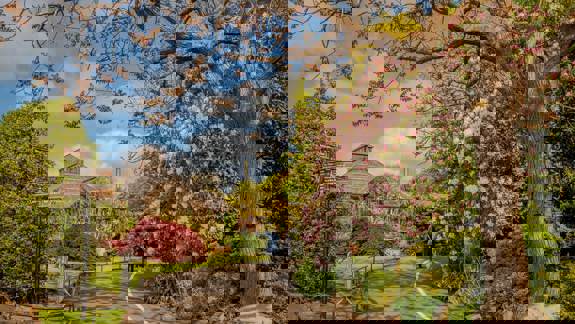 A view of a beautiful park with a curved path, lush trees and a greenhouse in the background.